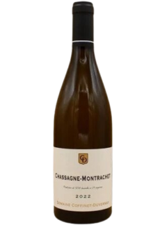 Chassagne-Montrachet 2023
