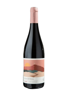 Les Ribes du Vallat Rouge – AOC Ventoux – 2023 – Jéroboam